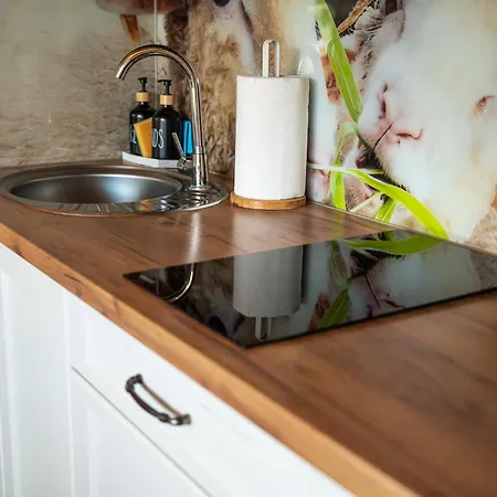 Dom wakacyjny Pod Limabmi Ii Kluszkowce